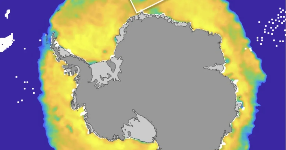 Antarktika jääväljadelt on kadunud Gröönimaa jagu jääd ja see ei saagi tagasi tulla, sest…