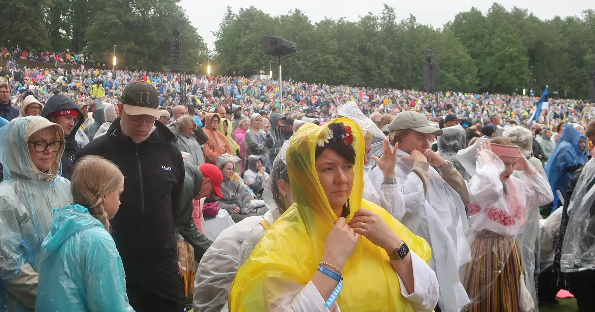 SIIRI LAIDLA ⟩ Las kallab!