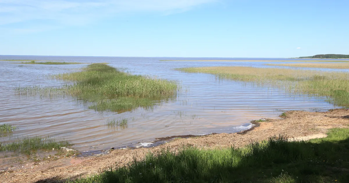 Napp pääsemine: päästjad leidsid mitu tundi Võrtsjärves hulpinud mehe