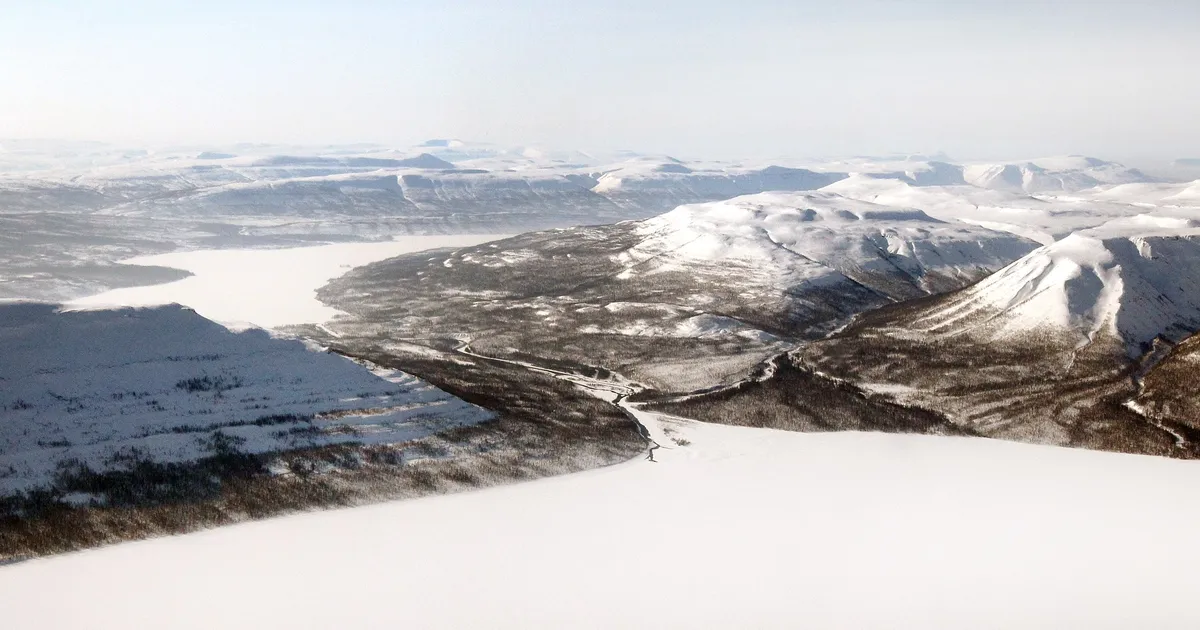 250 miljonit aastat tagasi oli pea kogu elu Maal välja surnud – ja siis…