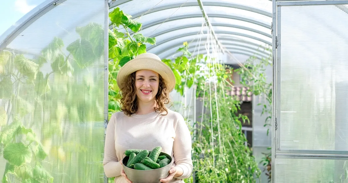 Kurgid õitsevad, aga ei anna vilja? Lihtne nõks tagab tugeva kasvu ja rikkaliku saagi
