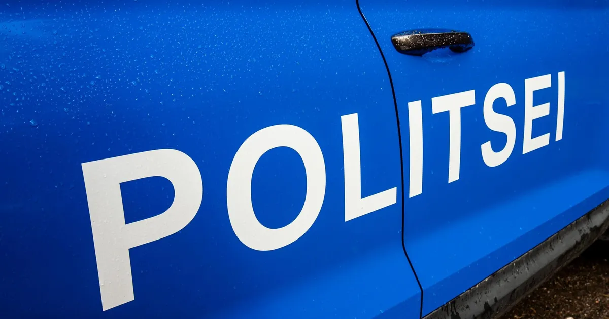 Politsei pidas Viljandimaal kinni relvataolise esemega vehkinud mehe