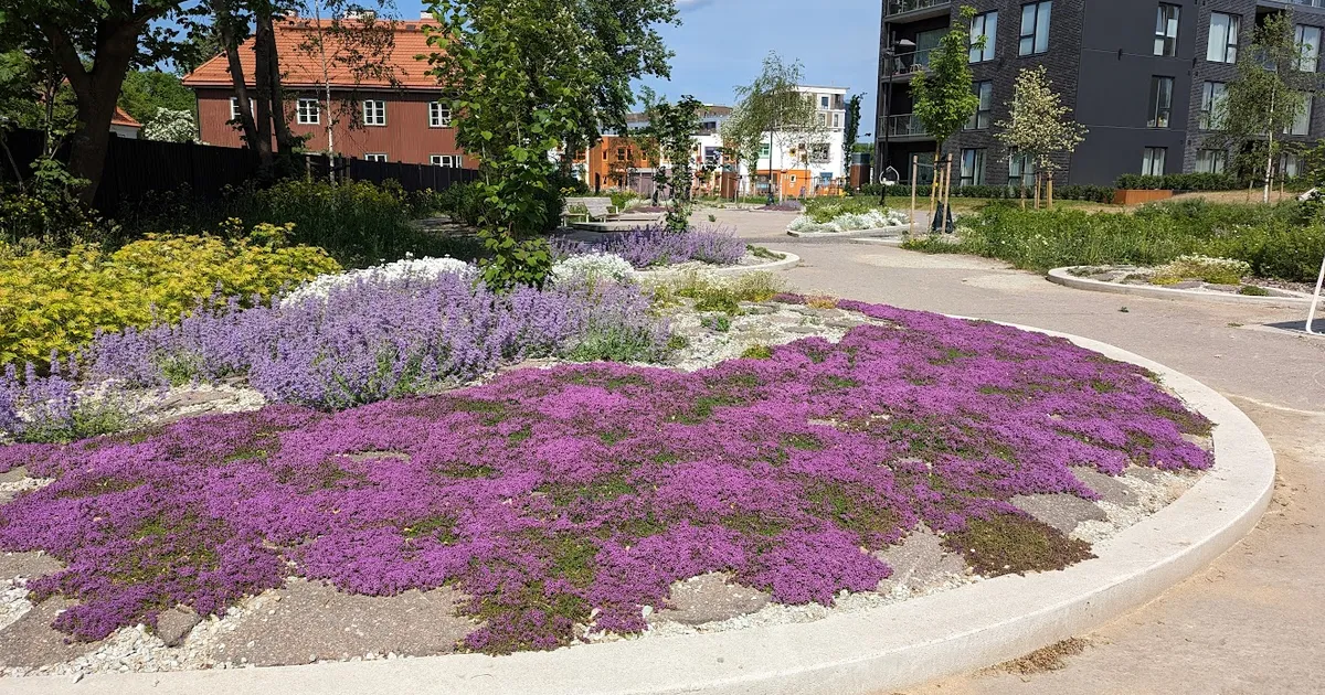 Kirvetööd teinud niidukijuht hävitas auhinnatud pargi