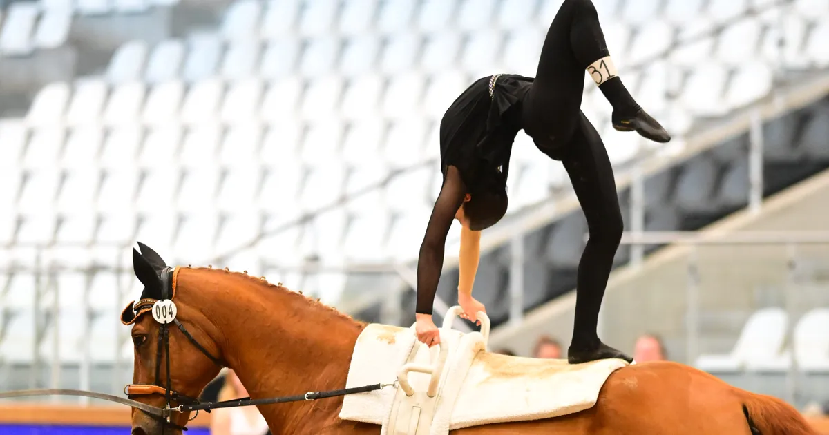 Pandeemia viis noore eestlanna hobuse selga võimlema, ees ootab juunioride MM