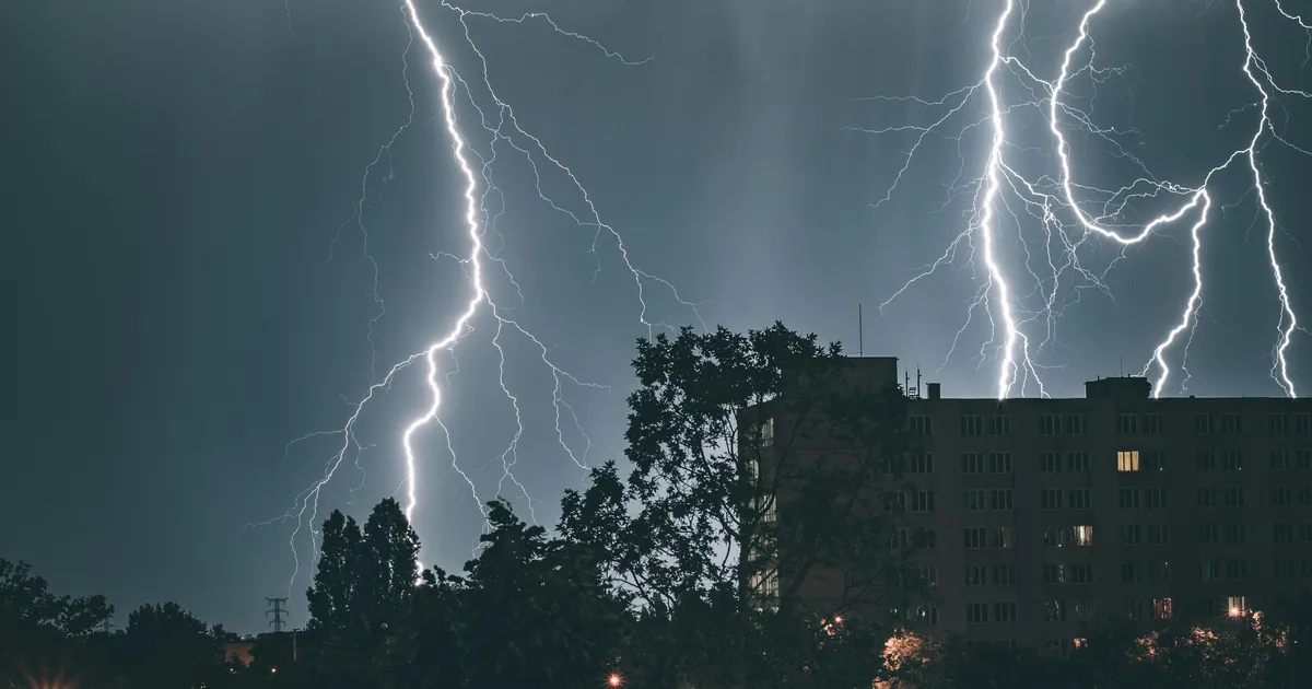 FOTO ⟩ Möödunud ööl idapiiri tagant mööda tuhisenud äike võttis Valgevenes maha terve metsa