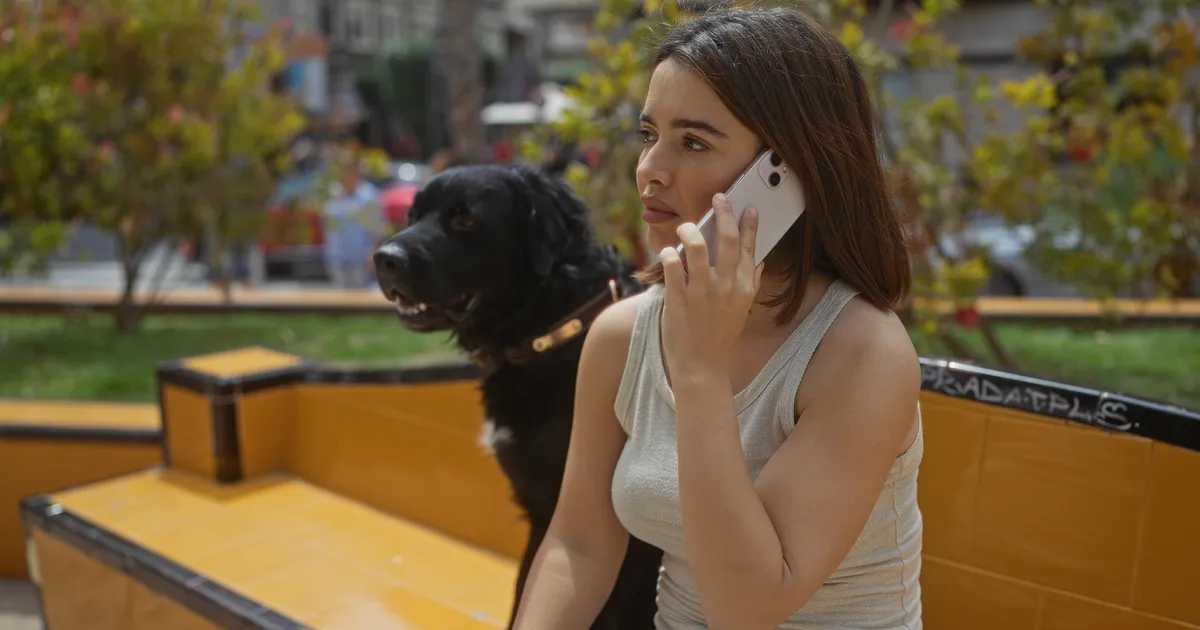 JÄRJEJUTT ⟩ Hommik, mil laip rikub rahuliku jalutuskäigu koertega