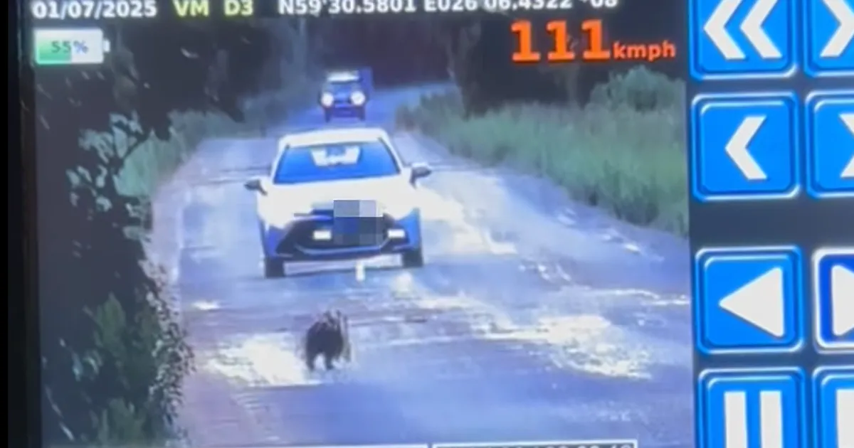 VIDEO ⟩ Mäger saboteeris politsei tööd