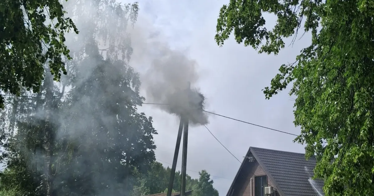 Fotod, video ⟩ Nelja pojaga toonekurepesa läks põlema