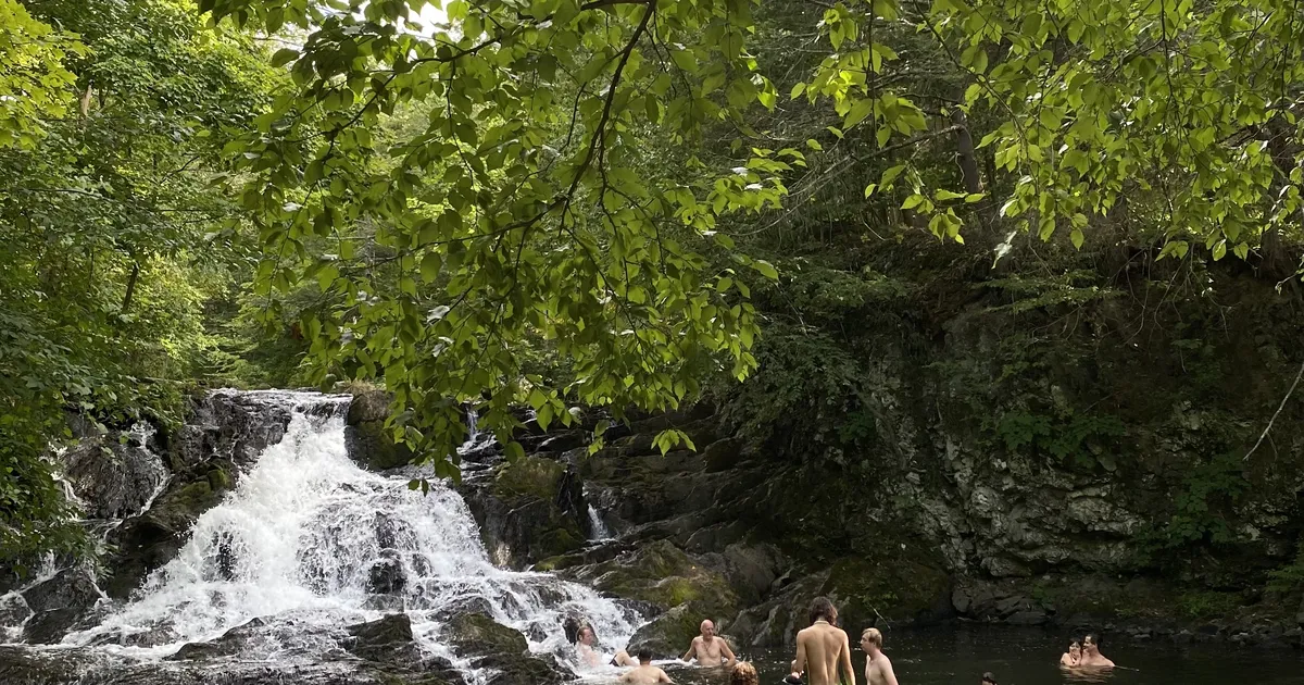 VASTUOLUDE ORG ⟩ Eheda Americana leiab New Yorgist veidike põhja poolt