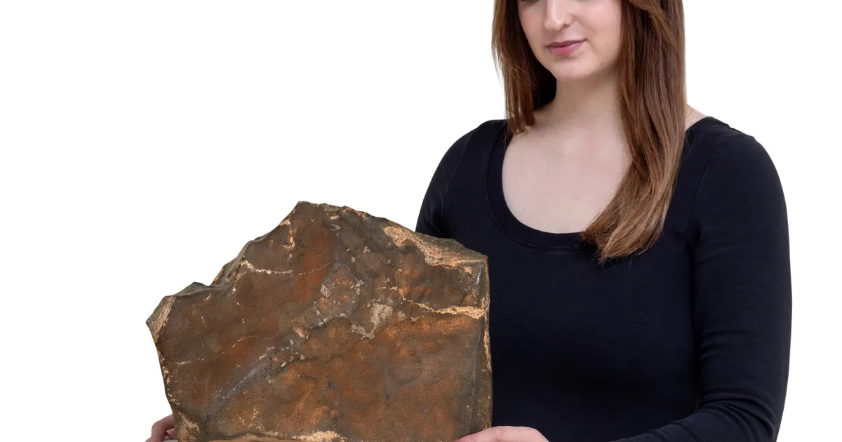 OSTA ÄRA ⟩ Oksjonile läheb mitmekilogrammine Marsilt pärit kosmosekivi – milliseks kujuneb selle hind?