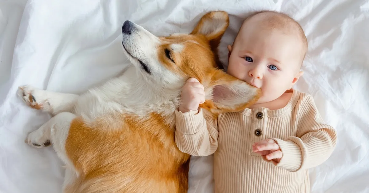 VIDEO ⟩ Ema kartis koera ja vastsündinu kohtumist, kuid see, mis juhtus, üllatas kõiki