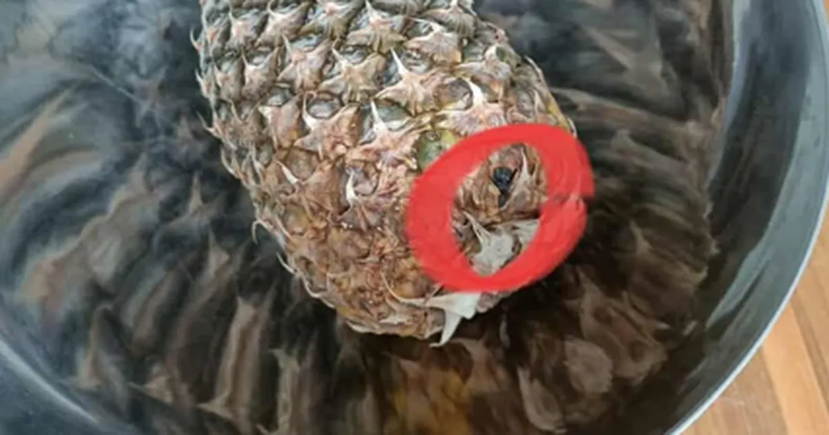 ETTEVAATUST! ⟩ Metallkausis süttinud ananass oleks kohaliku mehe peaaegu kodust ilma jätnud