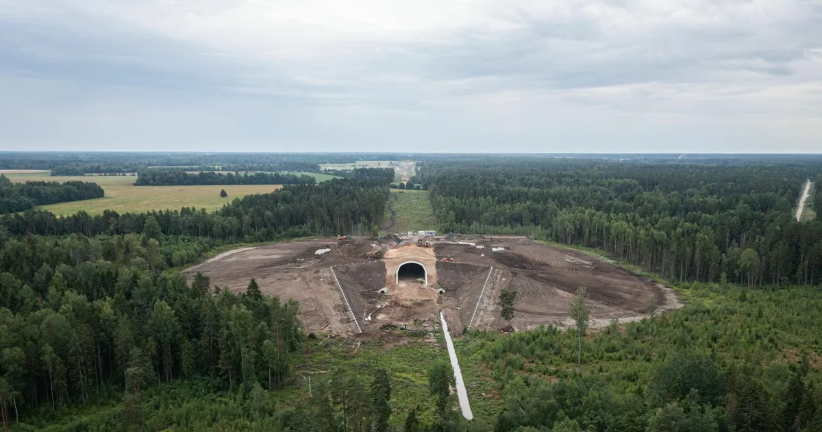 Enim hävitab metsa riik, seadusemuudatus võimendaks hävingut veelgi