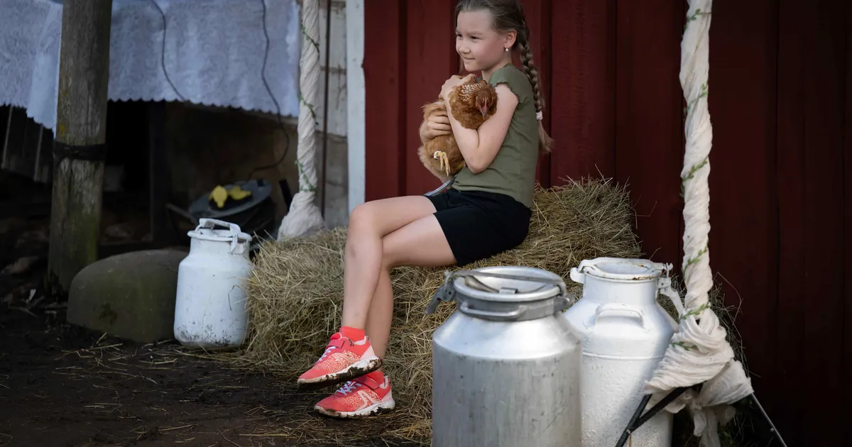 Marule ja vihmale vaatamata tehti avatud taludesse üle 198 000 külastuse