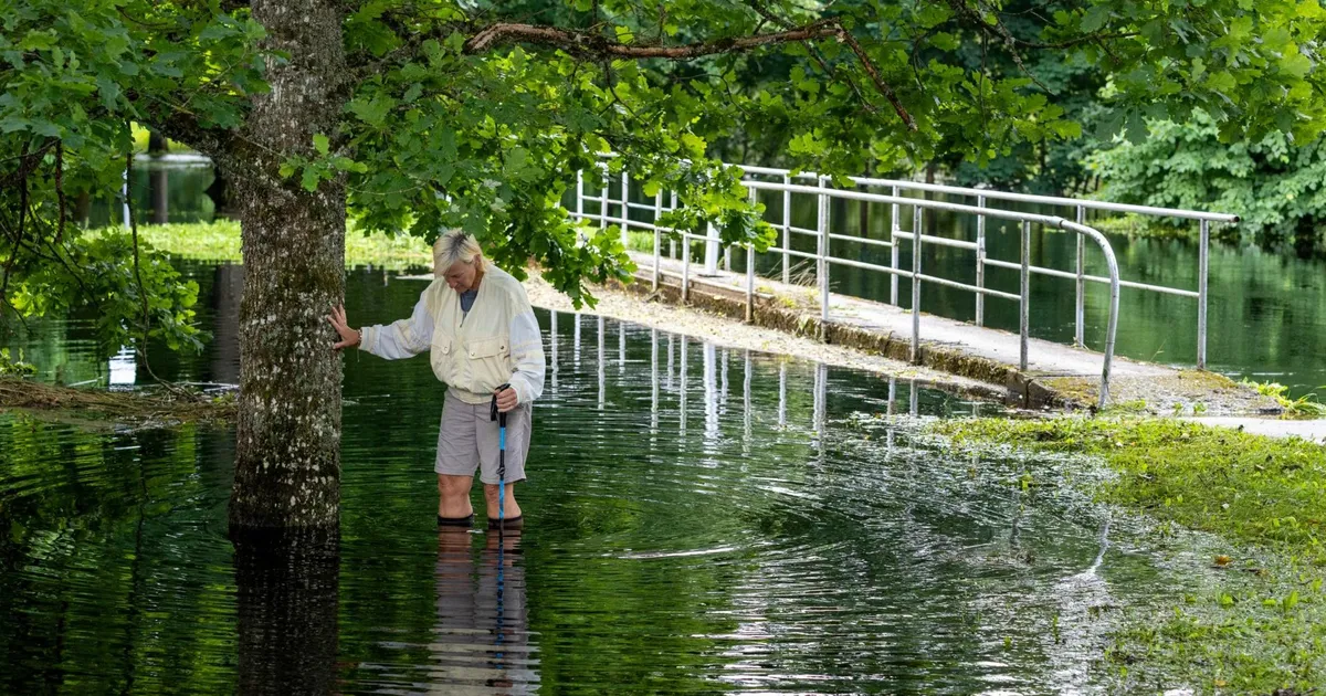 Pildid ja video ⟩ Surjus taandnud üleujutus jättis kaanid kuivale