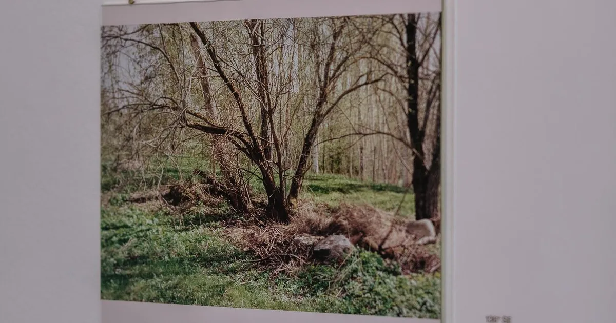 Tuukka Kaila kaetatud slaidid