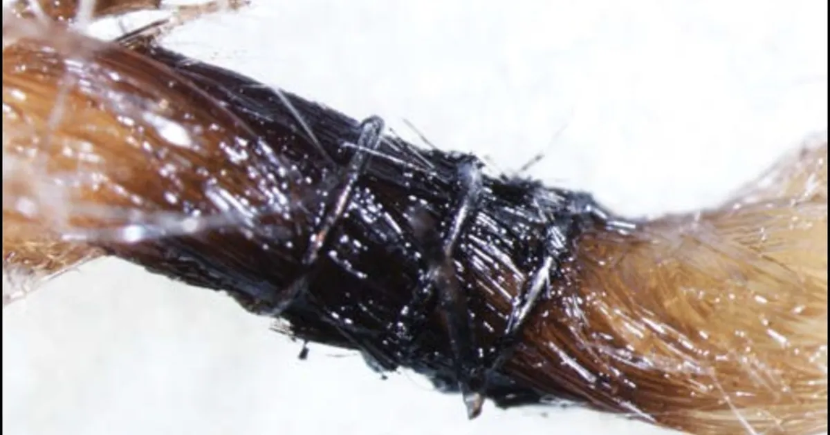 Teile on valetatud: ohutuid e-sigarette pole olemas!