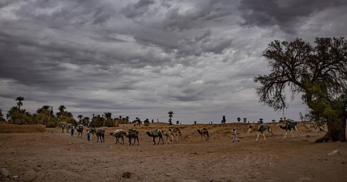 Prantsusmaal peetakse kohut poega ohverdada tahtnud paari üle