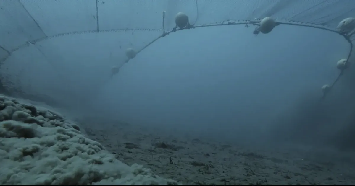 HIRMUTAV VIDEO ⟩ Nagu massimõrv koonduslaagris – selline näeb välja «moodne» kalapüük