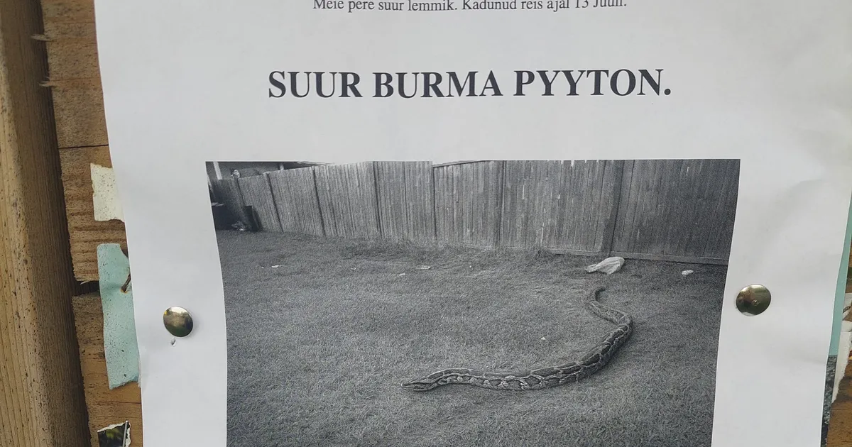 Kas oht või alatu nali? Tartu lähistel hoiatatakse plehku pistnud püütoni eest