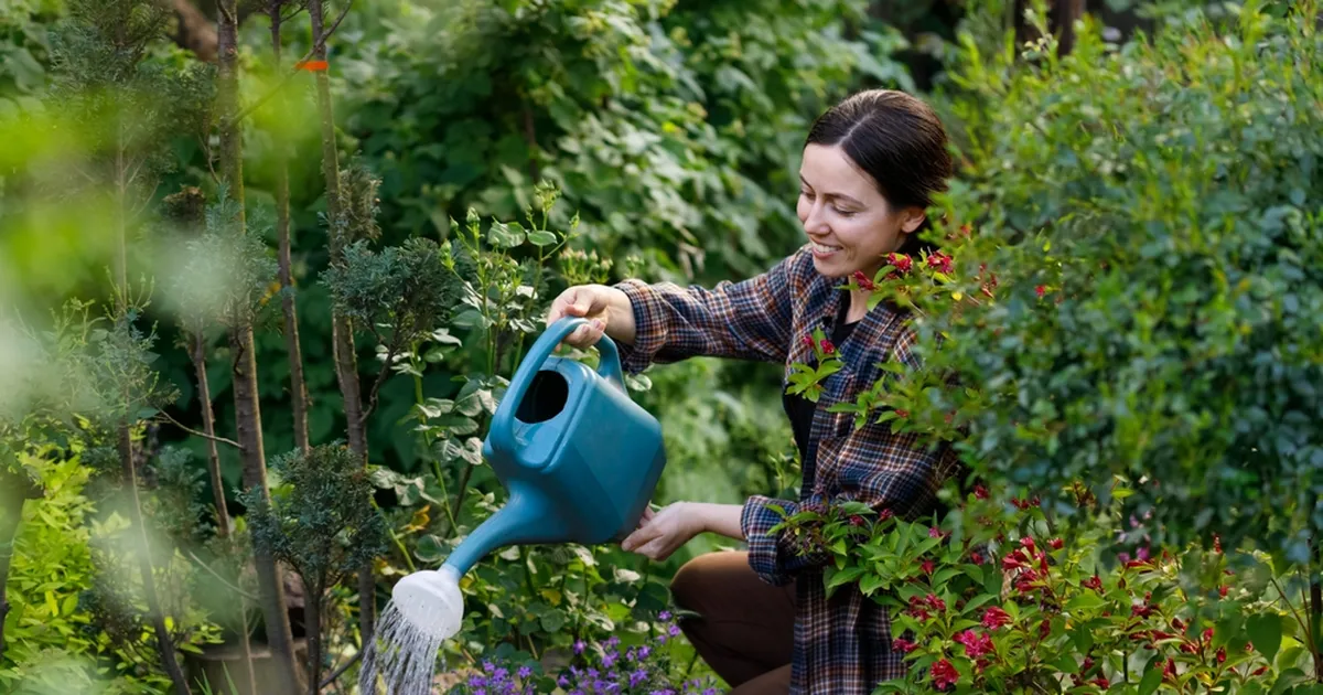 Kas julged proovida? Aedniku sõnul on uriin parim väetis