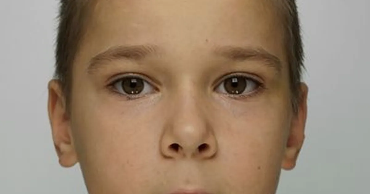 Politsei otsib Tartus kadunud 12-aastast Alex-Sandrit