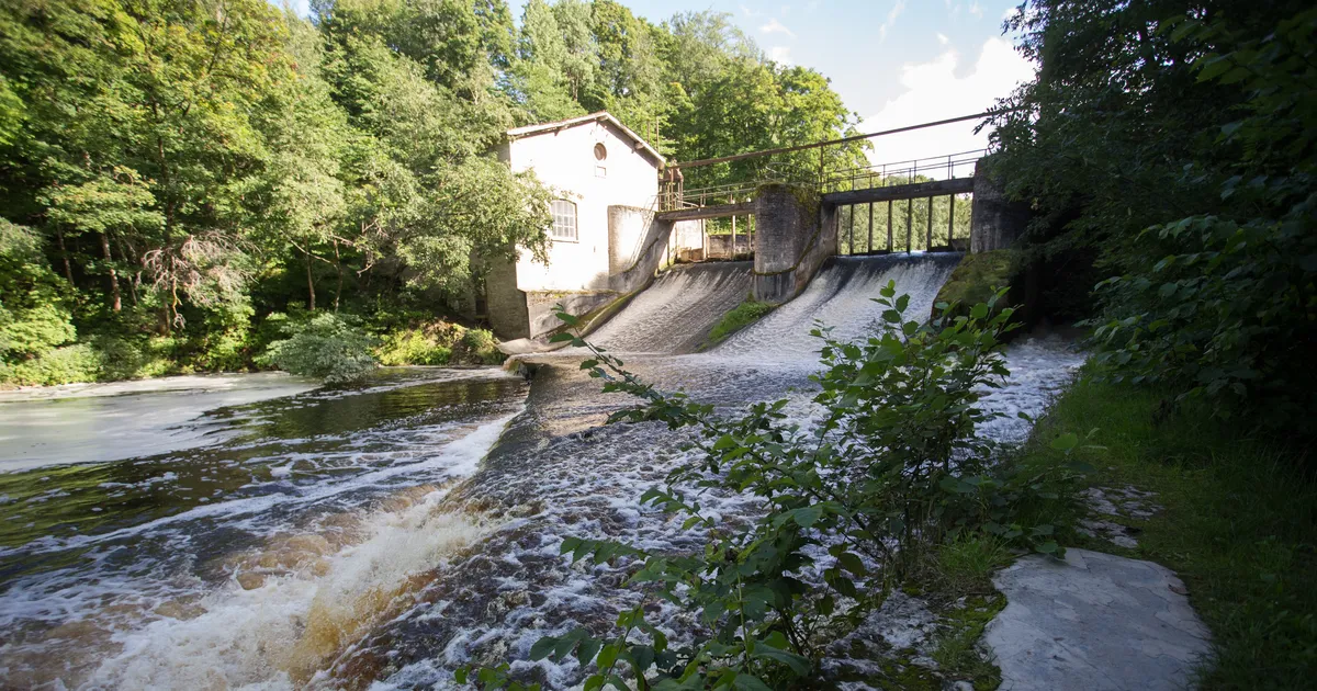 Arvamusplats ⟩ Paisude tõttu on jõgede kalastiku seisund kohati väga halb