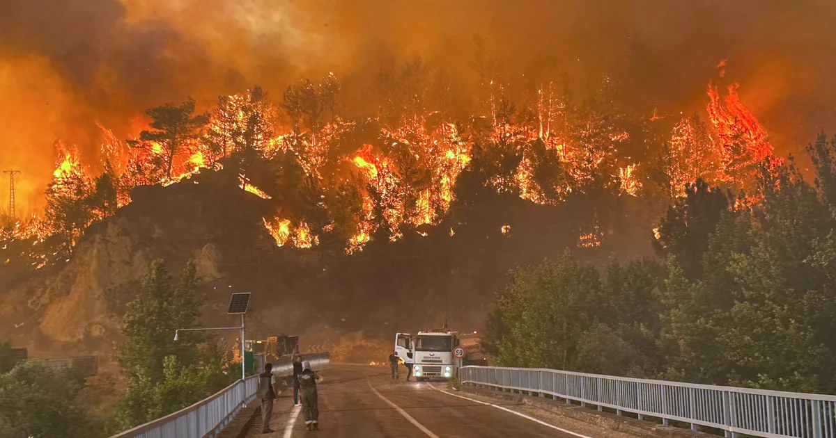 «See on täielik kaos!» Türgi ja Küpros ei näe metsapõlengutel otsa ega äärt