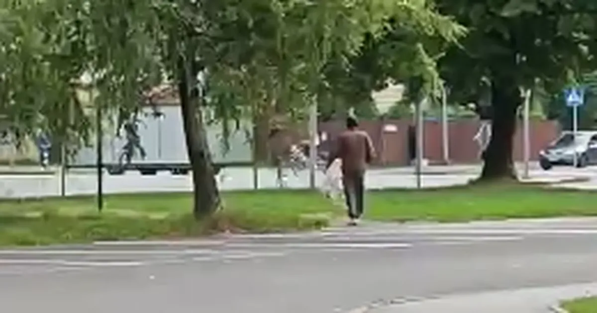 VIDEO ⟩ «Otsib kohta, kuhu magama minna!» Suvepealinnas tabati teolt tekivaras