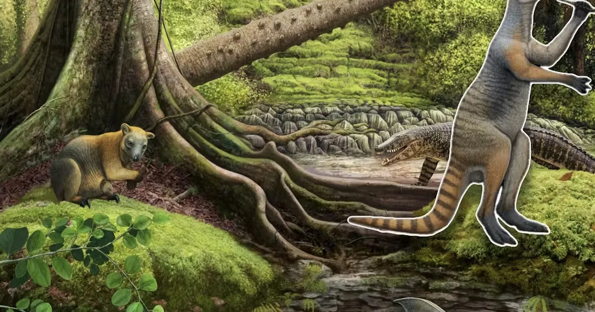 Austraalias kargasid kunagi ringi sellised hiigelkängurud – kuidas neile jälile jõuti?