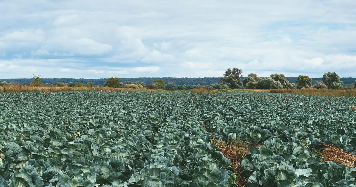See metall võib põllumajanduse pea peale pöörata – heas mõttes