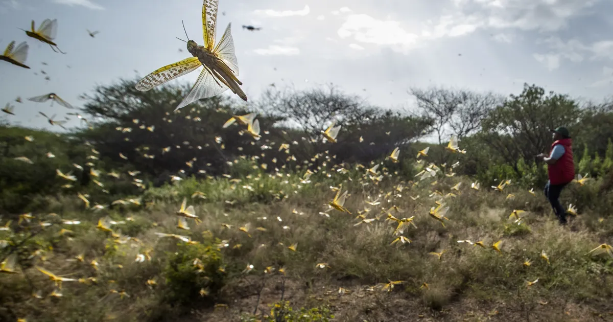 Rändtirtsud alustasid massilist pealetungi Ukrainale