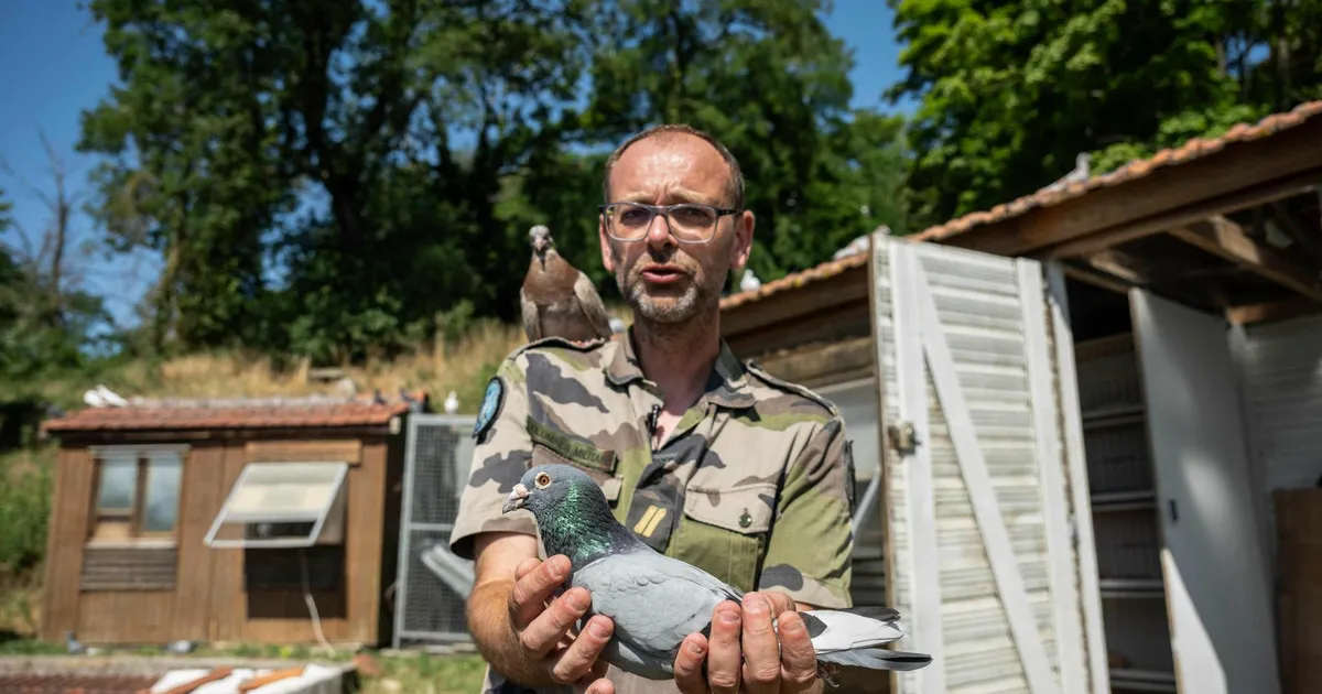 Euroopa viimased sõjaväetuvid püsivad oma vaprate eelkäijate mälestuseks Prantsusmaal endiselt teenistuses