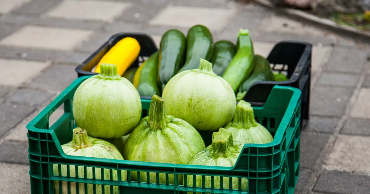 Imelihtsad retseptid, mille abil suvikõrvitsauputust taltsutada