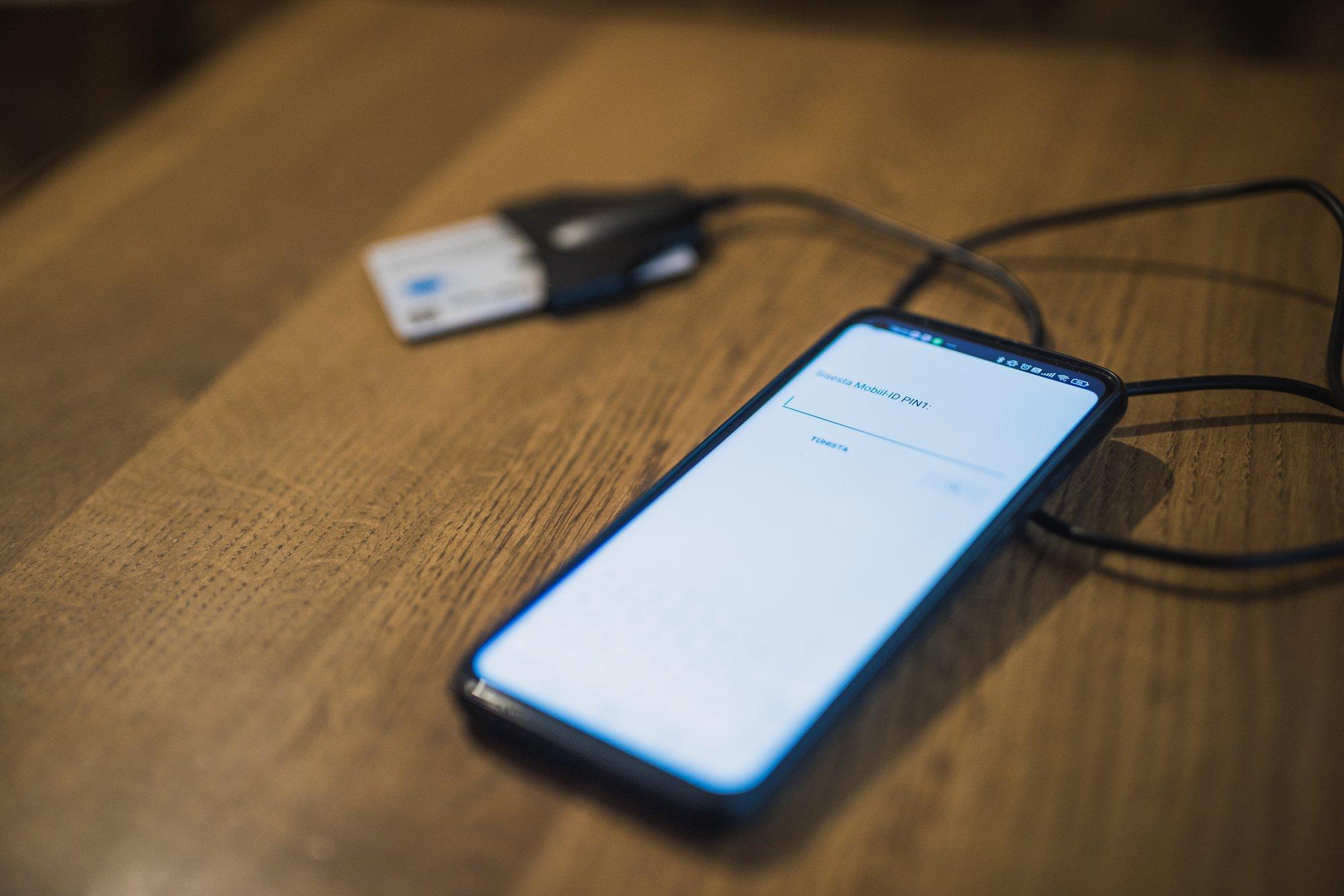 Liisi Keedus: mobiiliga hääletamise ärajäämine on võit demokraatiale!