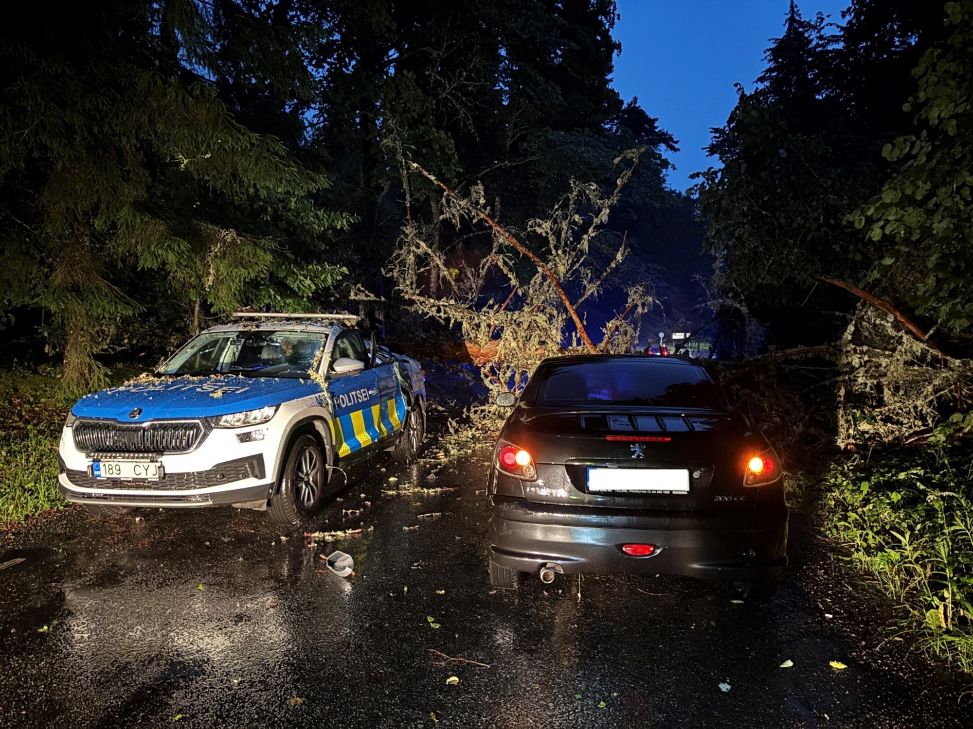 FOTOD | Lääne-Virumaal tormi tõttu teele kukkunud puu tabas politseiautot