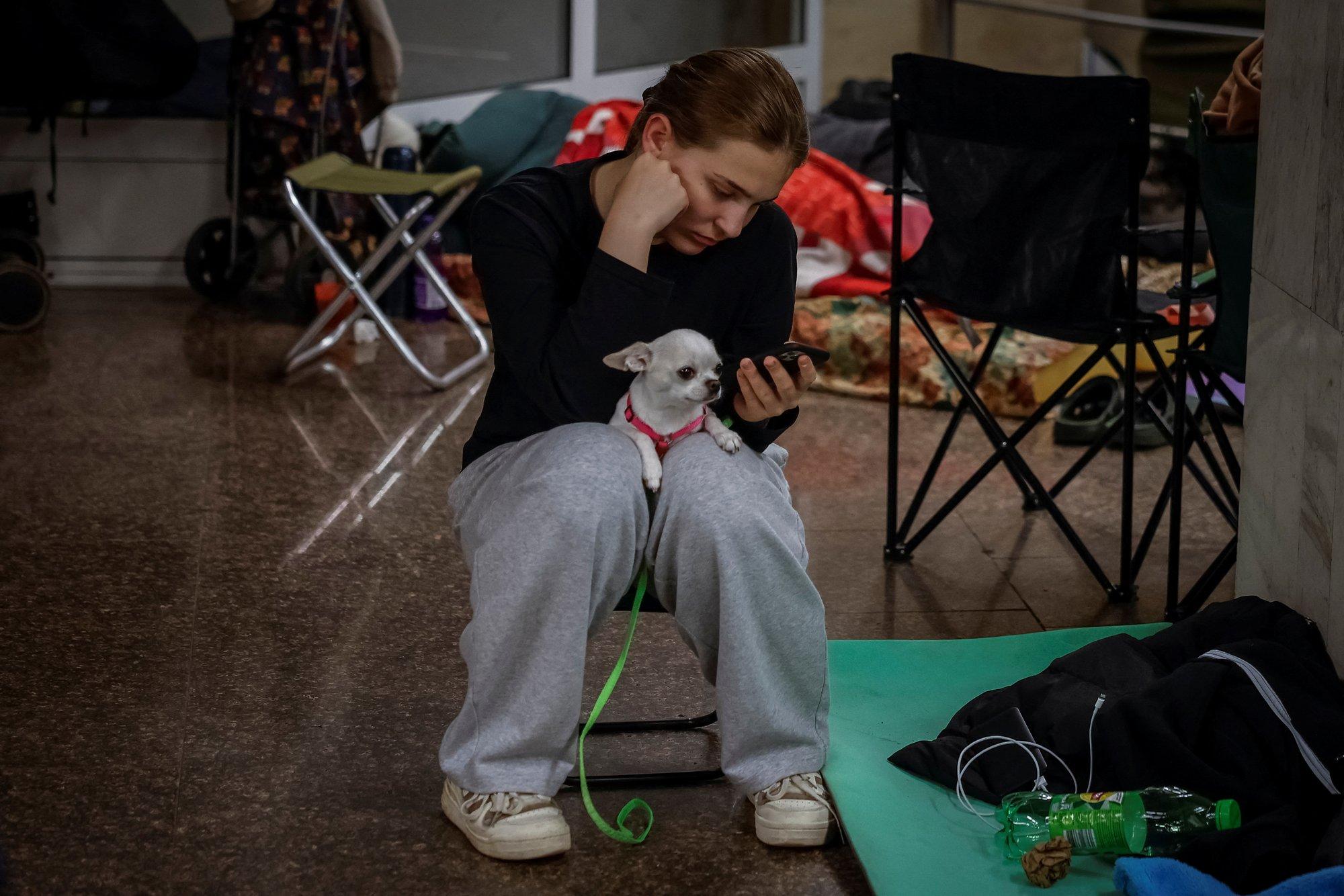 Mida teha lemmikloomaga kui kuuled ohusireeni või toimub evakuatsioon?
