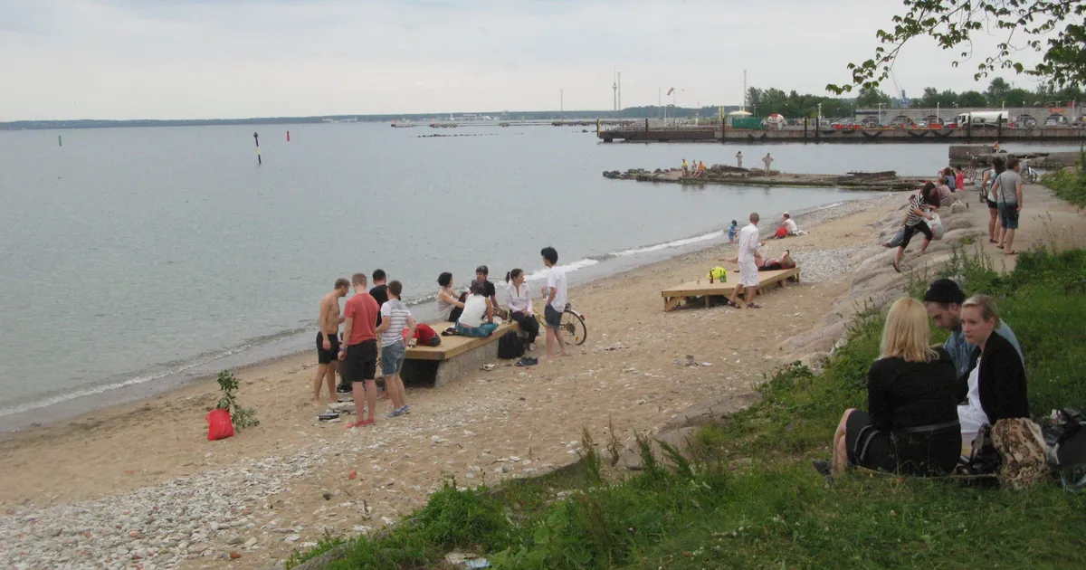LUGEJA FOTO ⟩ Kalarannas päevitanut üllatas avanenud vaatepilt: sellise suure koeraga siia laste vahele ujuma tulla?