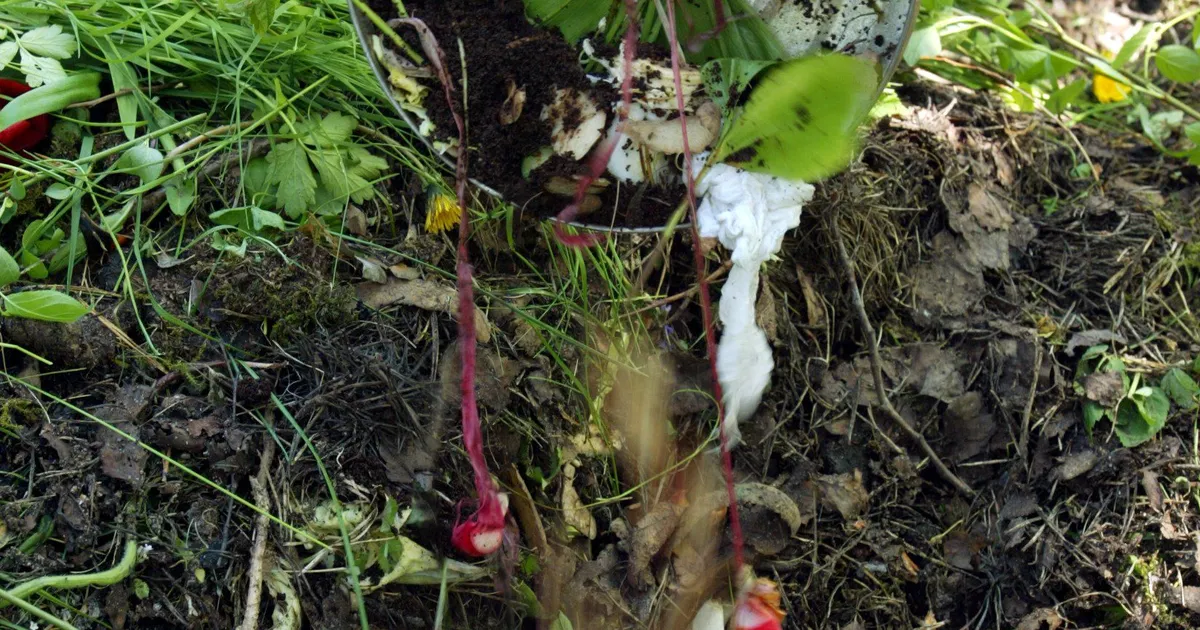 Tallinnas saab ühes kohas aiajäätmeid tasuta ära anda