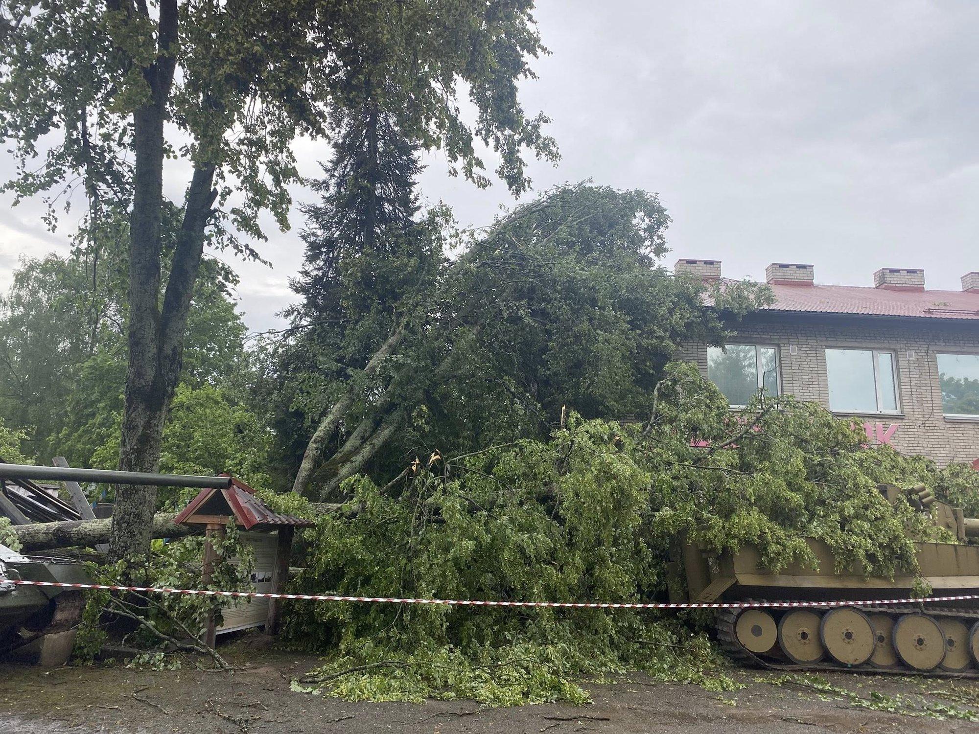 „Tromb tõstis põlispärnad juurtega maast!“ Maru tegi Valga sõjamuuseumile korraliku säru
