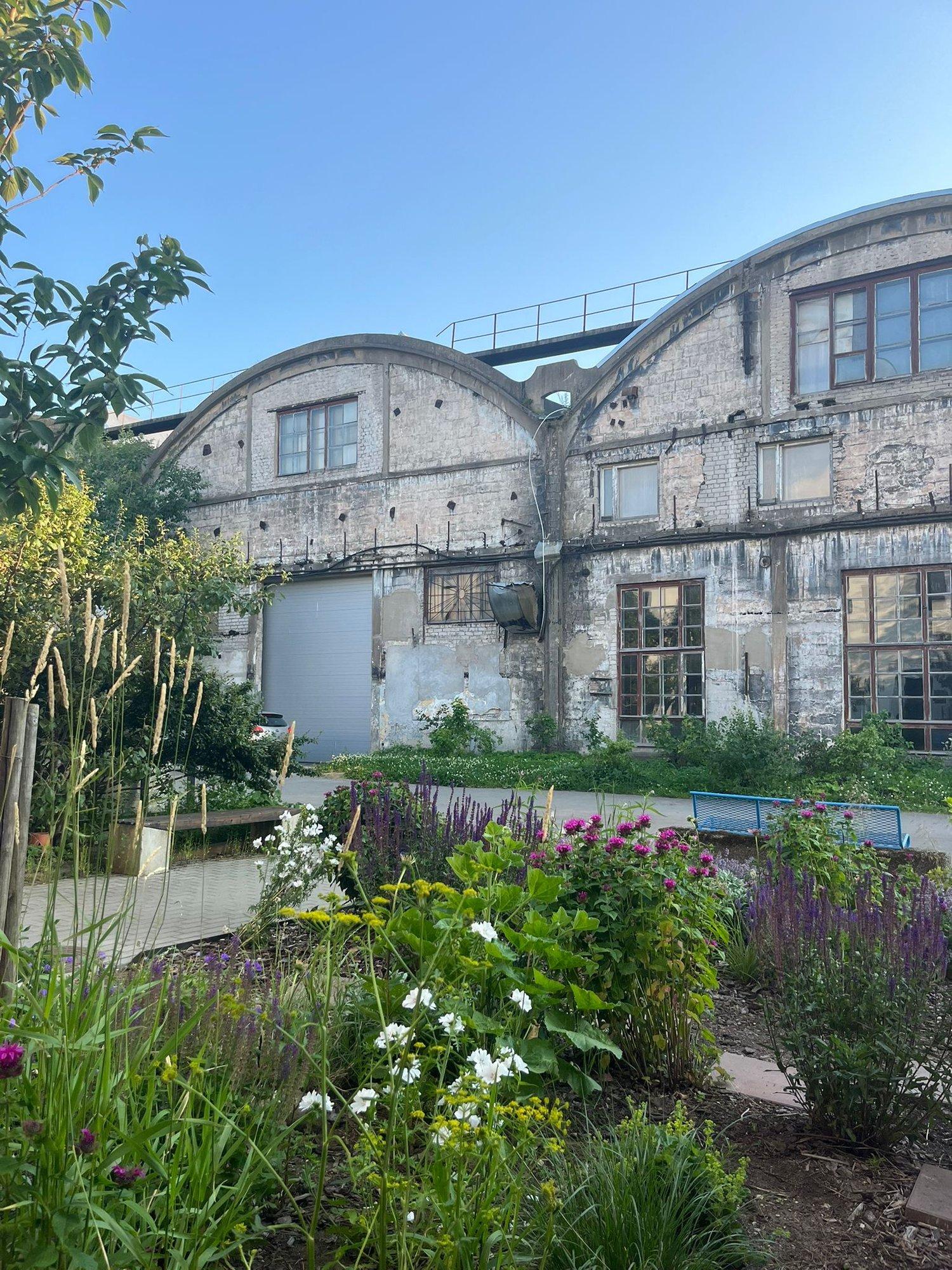 SALAKUULAJA | Kopli kõige kuumem suvebaar Bar Rara: kas kõik hipsterite üleshaibitud kohad on ikka oma kuulsust ja hinda väärt?