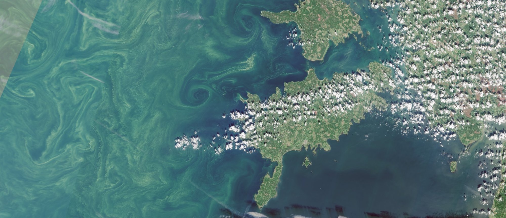 Ujuda kõlbab küll! Sinivetikas suplejaid veel ei ohusta