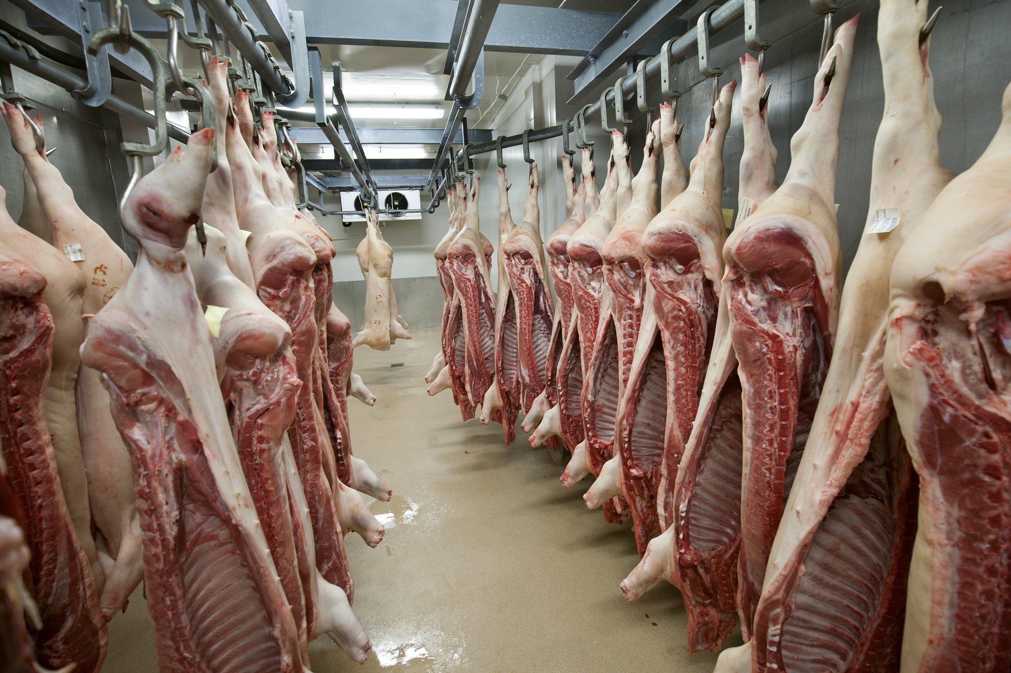 Lehk on hingemattev: 25 tonni liha roiskub hävitamist oodates tootmisruumides