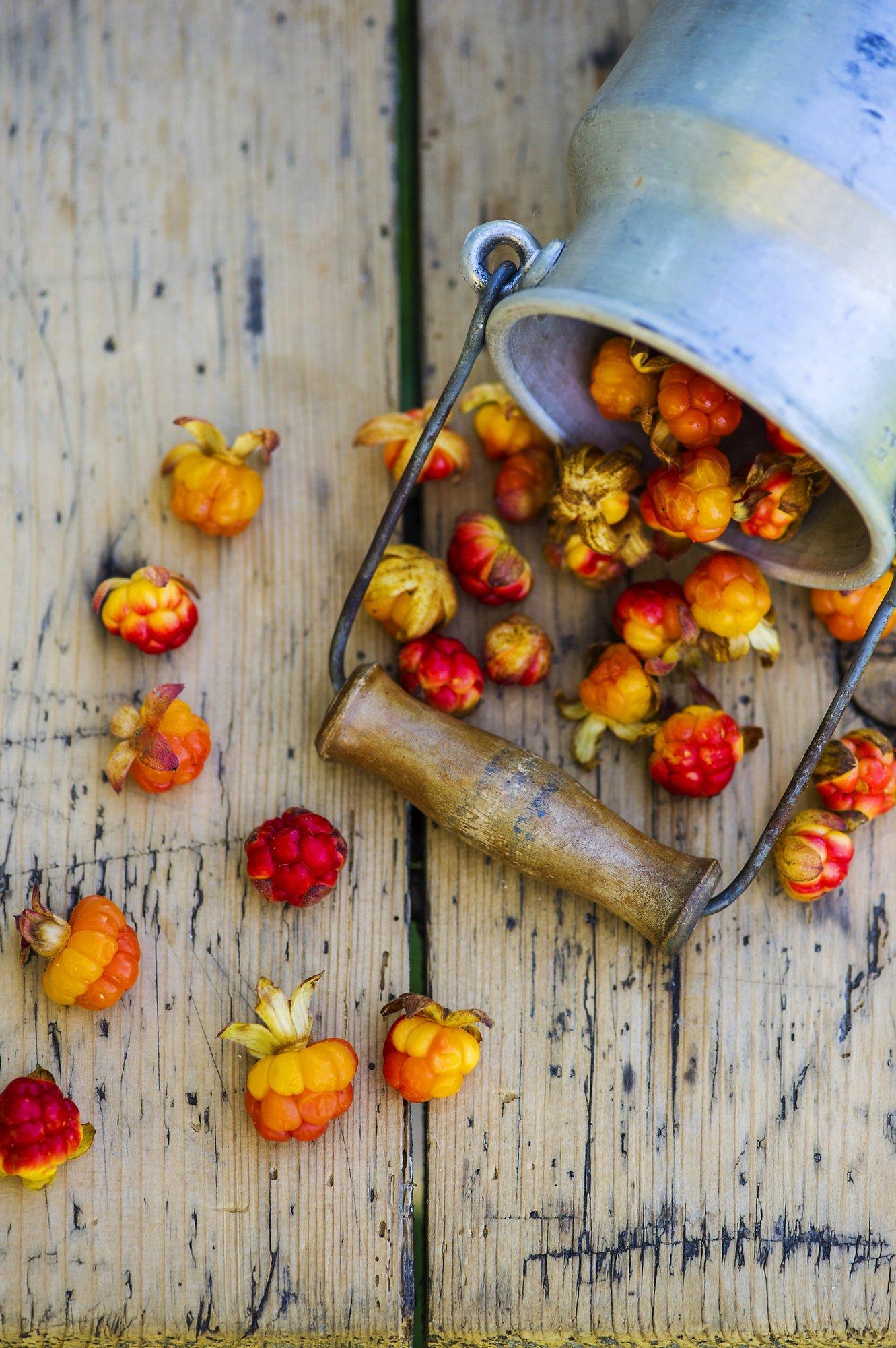 On murakate hooaeg! Valmista mesisest marjast juustukooki, kombineeri kitsejuustuga, keeda moosi ja tee norrakate lemmikmagustoitu