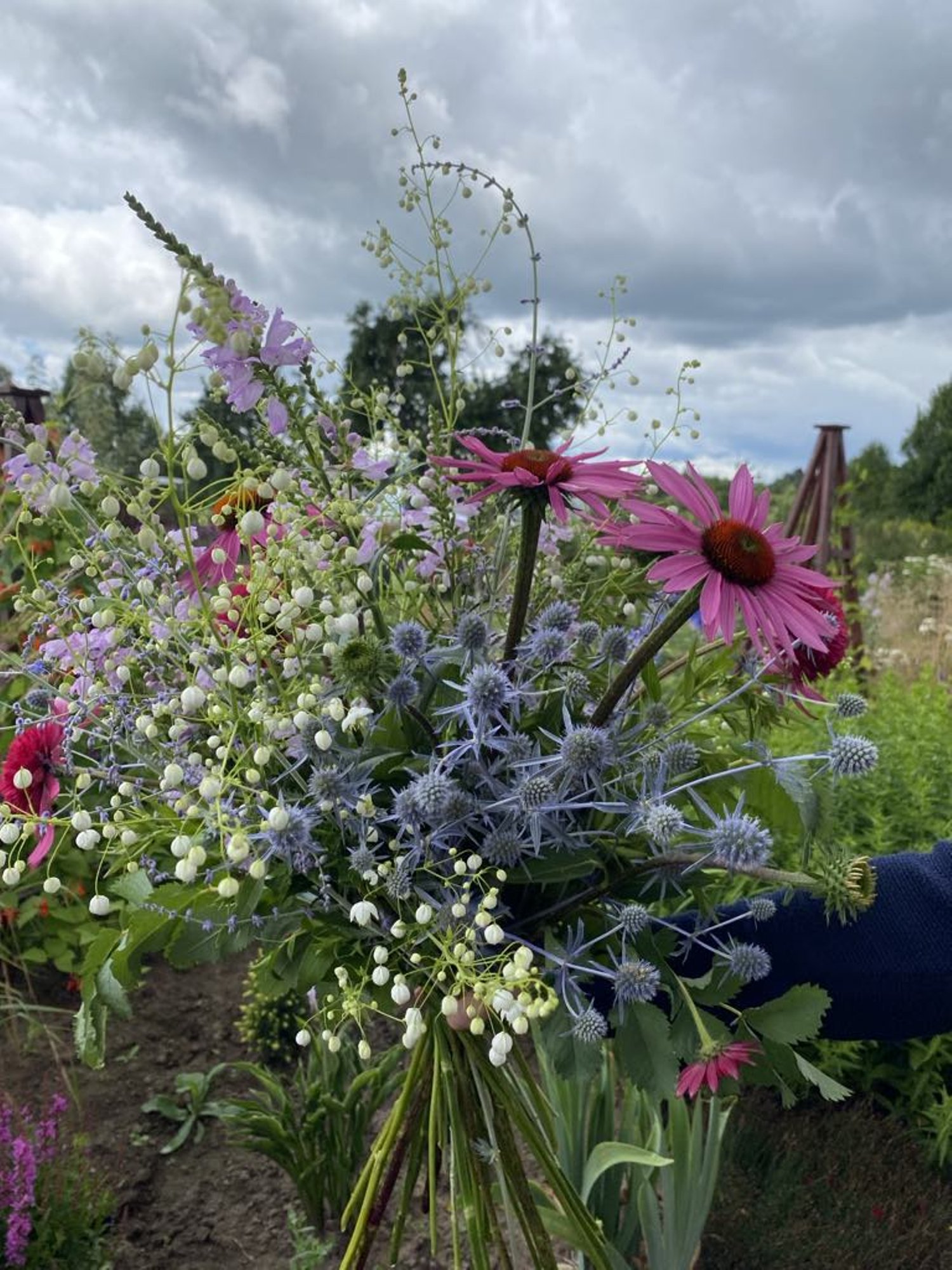 Aasta Püsilill on valitud!