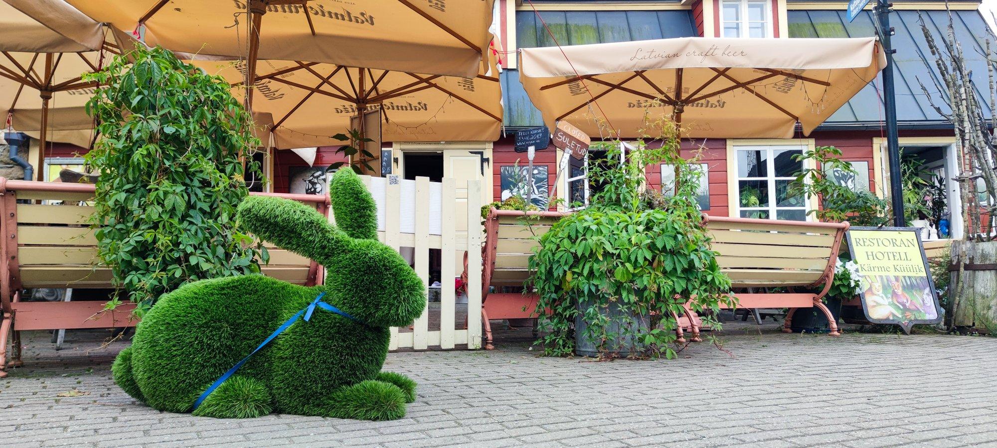 Nööriga kinni: soomlaste ärandatud Haapsalu murujänesest on saanud tõeline turismimagnet