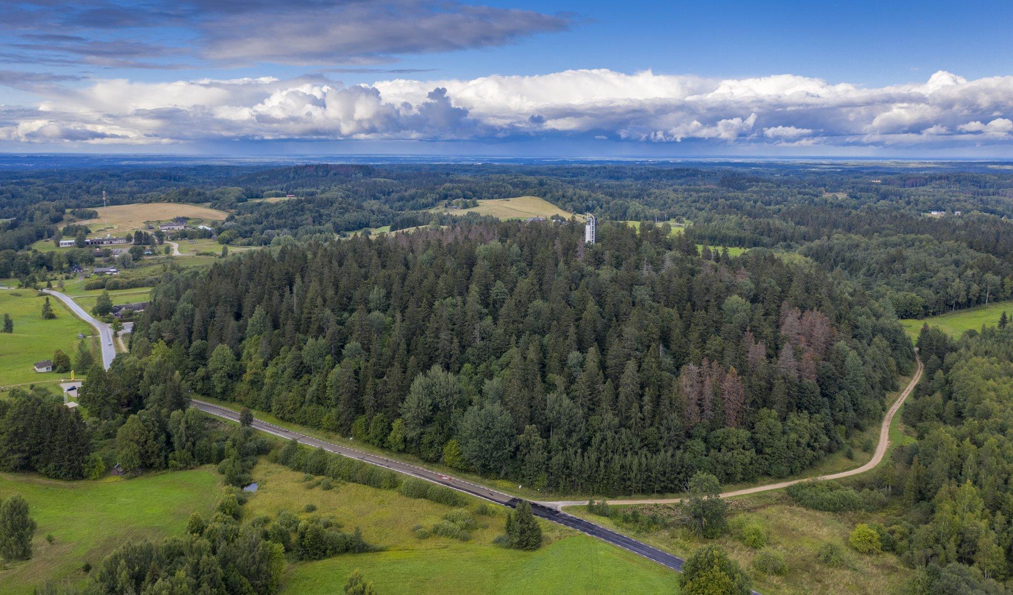 Metsateadlane: looduse „kaitsjatel“ puudub krooniline arusaam metsade uuendamise viisidest
