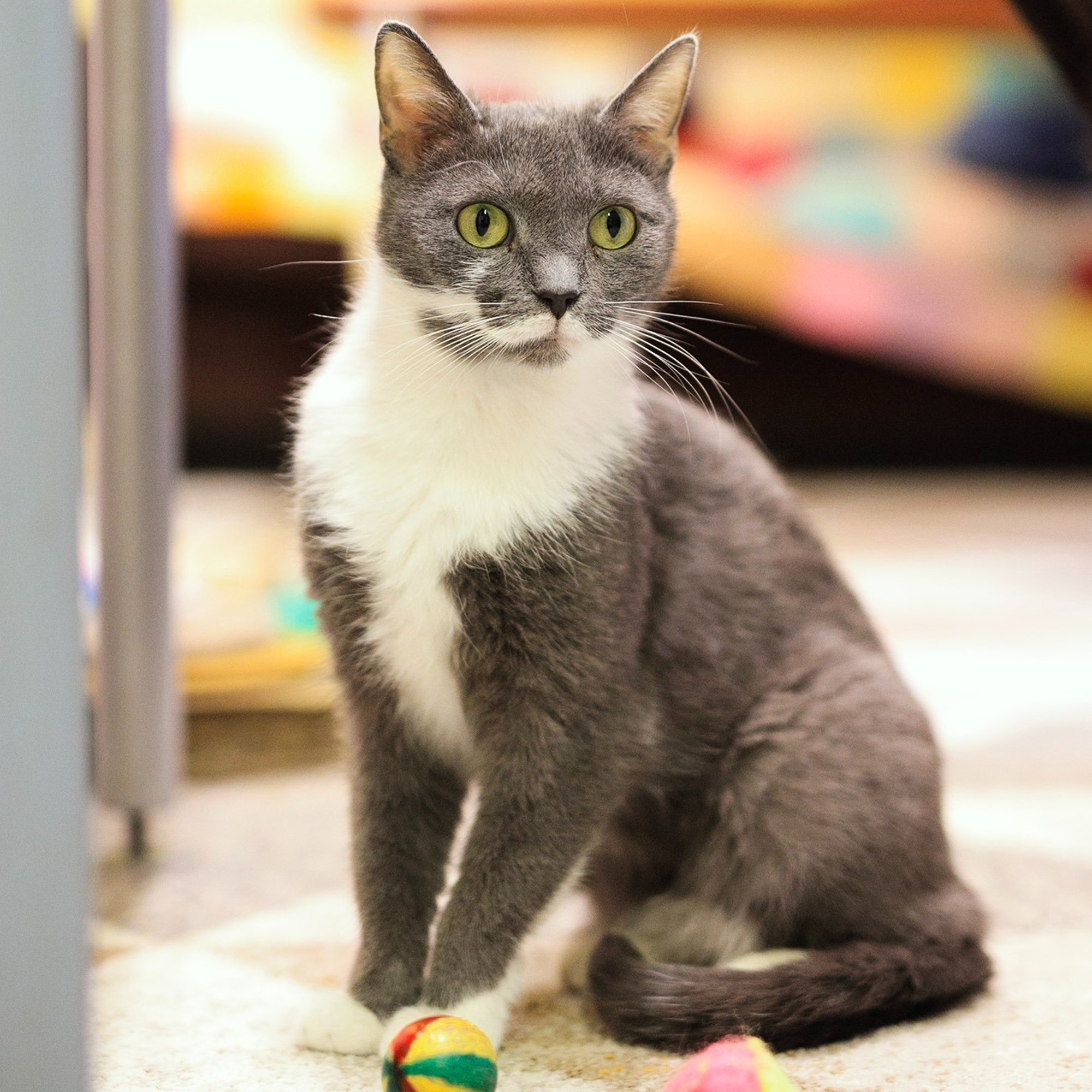 Väike hall elus kingitus Darja pole kodusoojusest osa saanudki