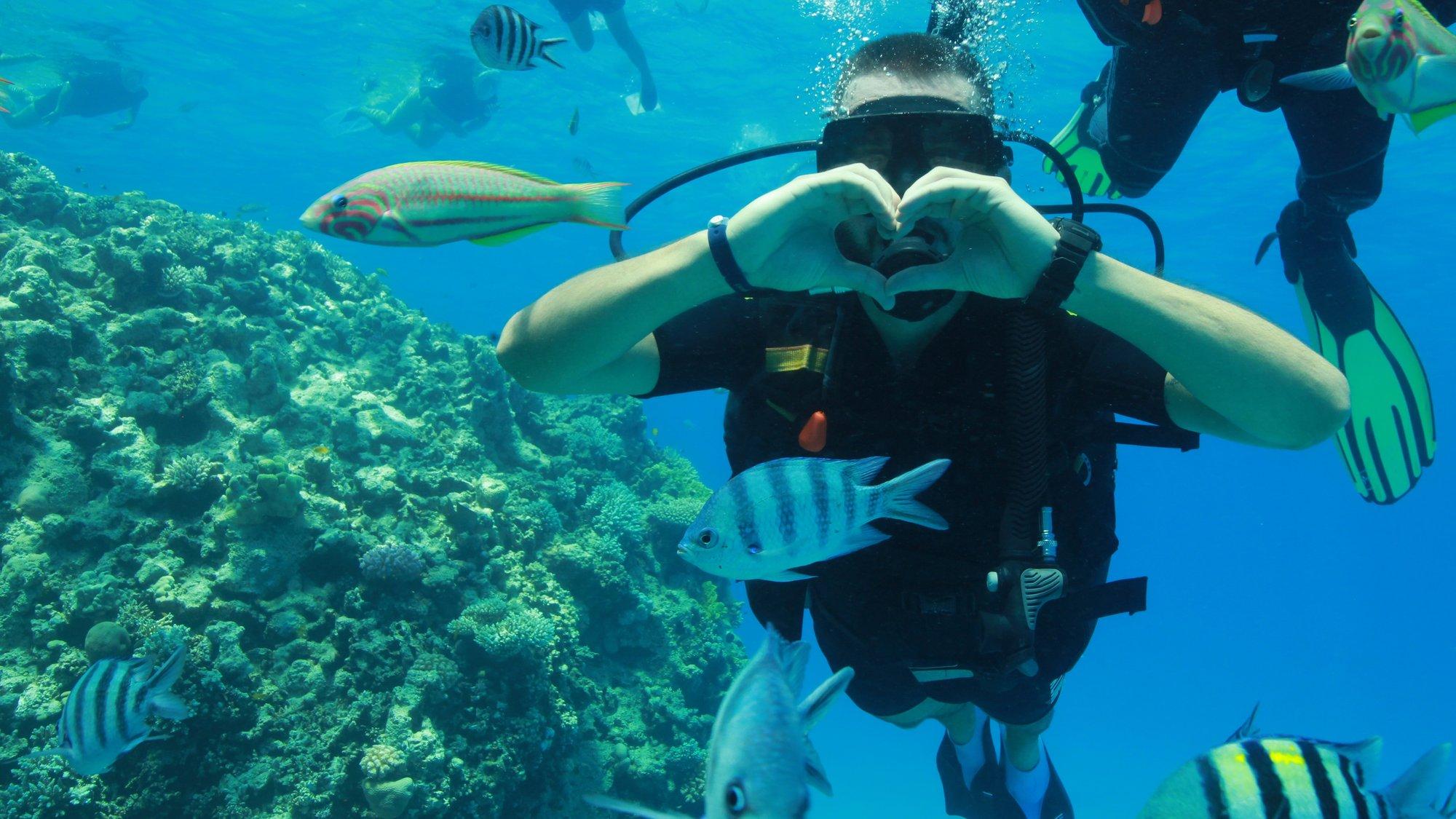 REISIKIRI | Suvine Egiptus. Sharm el Sheikh, Punane meri ja kõik see, mis jääb piltidelt välja