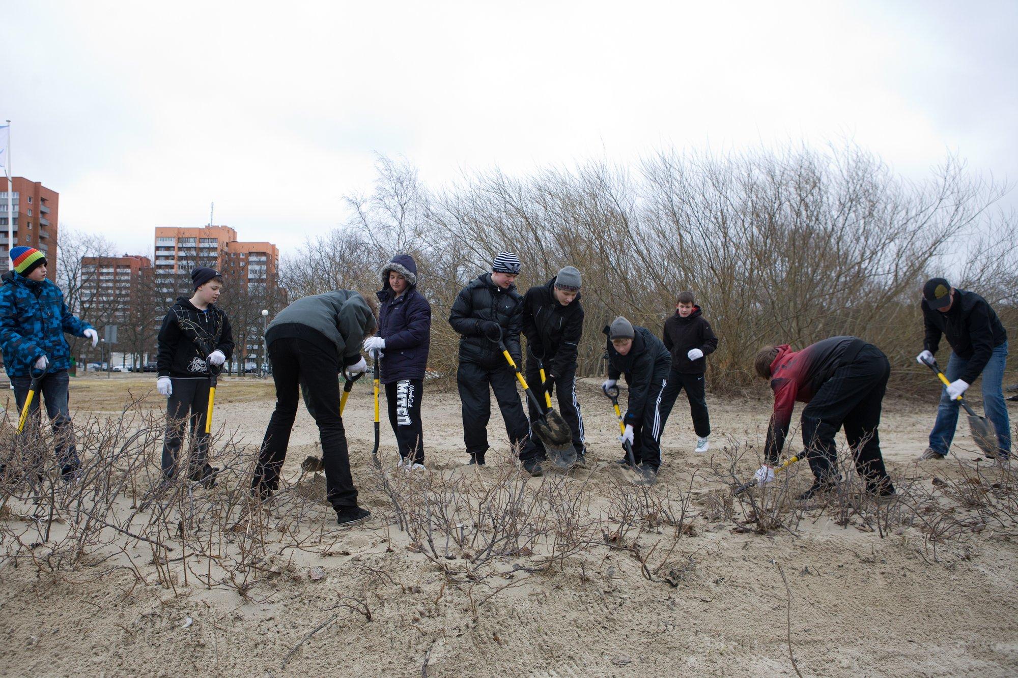 Kolmes maakonnas on lastel suvel eriti keeruline tööd leida